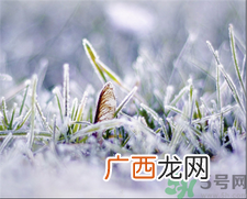霜降吃什么?霜降养生食谱
