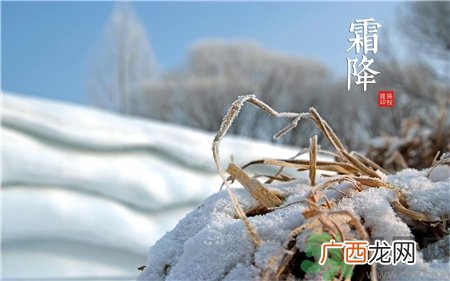 霜降吃什么?霜降养生食谱