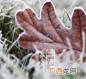 霜降是什么季节？霜降是秋天还是冬天？