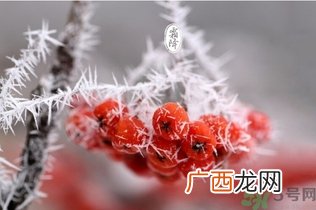 霜降是几月几日？霜降是什么意思？
