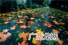 一场秋雨一场寒的意思?一场秋雨一场寒从什么时候开始?