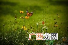 处暑代表什么?处暑的时间代表什么?