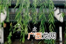 处暑代表什么?处暑的时间代表什么?