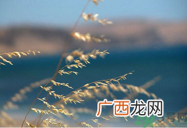 处暑如何养生？处暑养生要注意什么？