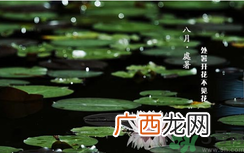 处暑如何养生？处暑养生要注意什么？