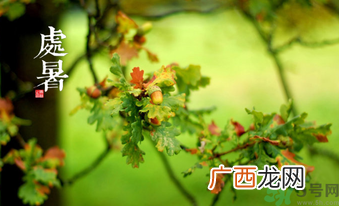 处暑如何养生？处暑养生要注意什么？