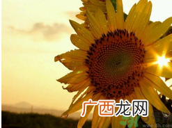 为什么立秋了还这么热？立秋后要多久才能凉快？