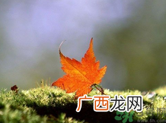 为什么立秋了还这么热？立秋后要多久才能凉快？