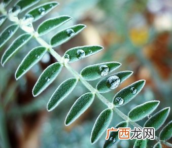 寒露穿什么衣服？寒露要注意什么？