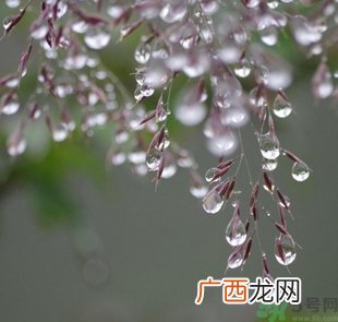 寒露穿什么衣服？寒露要注意什么？