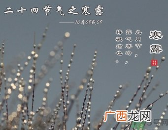寒露是什么意思？寒露是几月几日