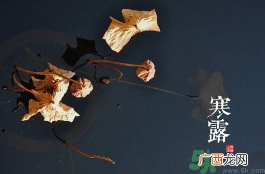 寒露是什么意思？寒露是几月几日