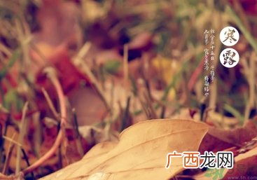 寒露是什么意思？寒露是几月几日