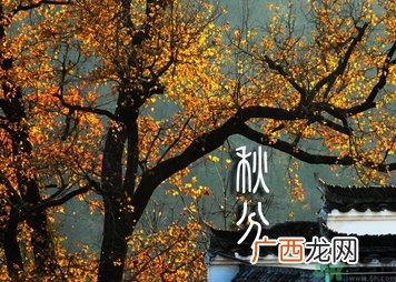 秋分有什么含义?秋分能结婚吗?