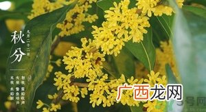秋分有什么含义?秋分能结婚吗?