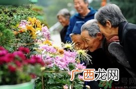 重阳节是阴历还是阳历？重阳节是什么意思？