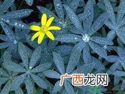 白露穿什么衣服?白露要注意什么?