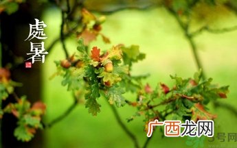 处暑还热吗?处暑还要热多久?