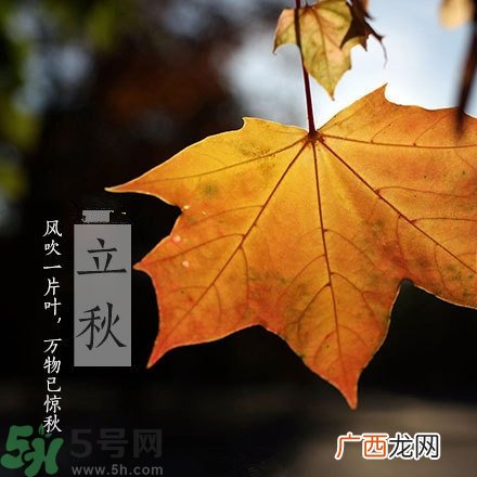 早立秋是什么?早立秋和晚立秋的区别