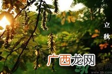 立秋出生的孩子怎么取名？立秋出生的孩子的命运？