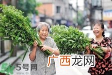夏天可以用艾草驱蚊吗?夏天可不可以用艾草驱蚊?