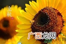 立秋是什么意思？立秋的含义