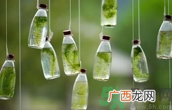 夏季防蚊方法有哪些？防蚊方法哪种更好？