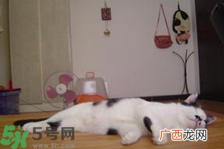夏天睡凉席好吗？夏天睡凉席好不好？