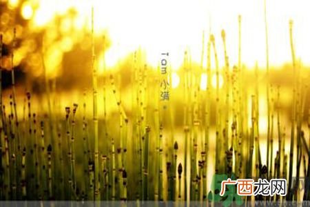 为什么小满湿气重?小满怎么除湿气?