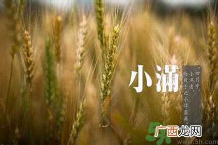 小满喝什么茶？小满喝什么茶好？