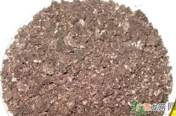 奥利奥麦旋风怎么做？怎么自制奥利奥麦旋风？
