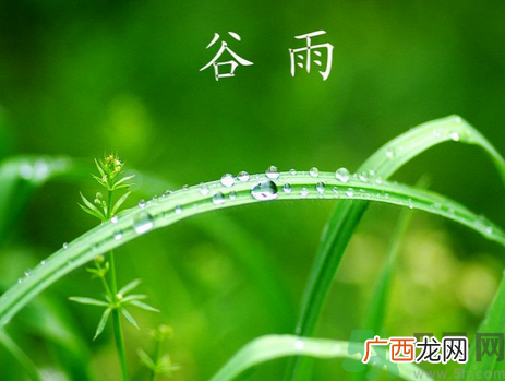 谷雨是什么意思?谷雨节气有什么含义?