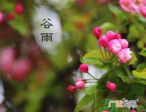 谷雨的习俗有哪些?谷雨节气有什么习俗?