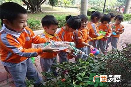 如何提高植树的成活率？植树节种树要注意哪些细节？