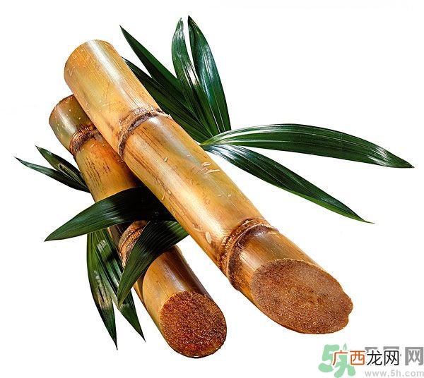 清明节能吃甘蔗吗？清明节吃甘蔗会中毒吗？