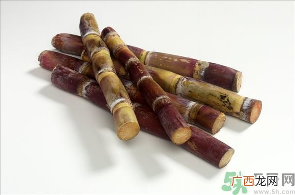 清明节能吃甘蔗吗？清明节吃甘蔗会中毒吗？