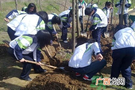 植树节是几月几日？植树节可以做些什么活动？