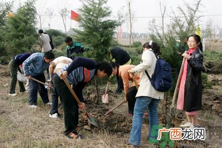 植树节是几月几日？植树节可以做些什么活动？