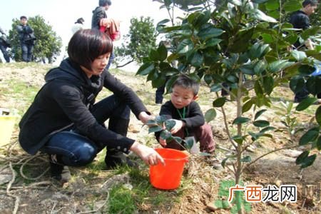 植树节是什么时候?植树节为什么定在这一天?