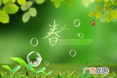 春天喝什么茶好?春天喝什么茶养生?