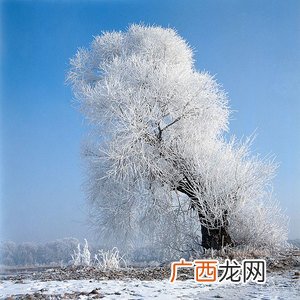 下雪天出门要注意什么