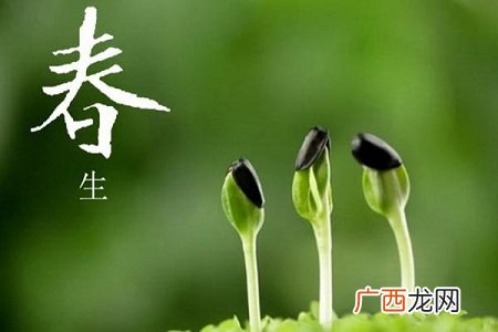 依时序吃粗食 四季养生更健康