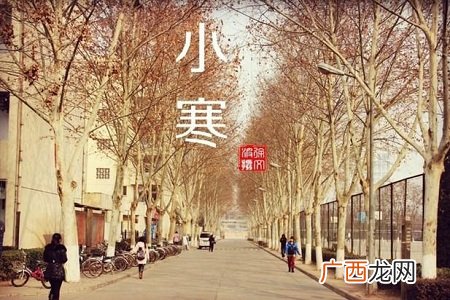 小寒节气养生注重益气补虚,滋养脏腑
