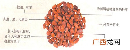 冬至节气要吃什么?松子帮你润肠通便