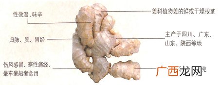 小寒节气吃生姜能促进食欲