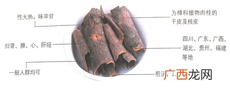 小寒节气吃肉桂能通经,抗菌抗辐射