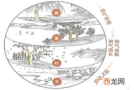 四季养生之道春夏秋冬之法则知识
