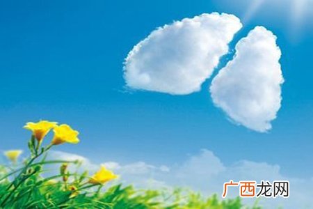 春季怎么养肺?各个时间段有妙招