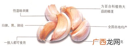冬至吃大蒜能消炎杀菌还能预防肿瘤癌症