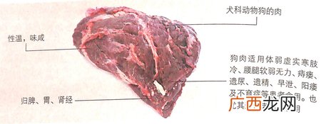 冬至期间狗肉能调整血压,改善性功能